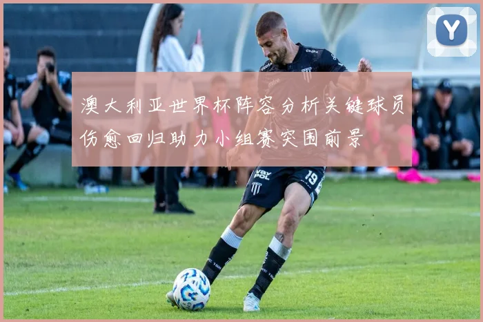 澳大利亚世界杯阵容分析关键球员伤愈回归助力小组赛突围前景